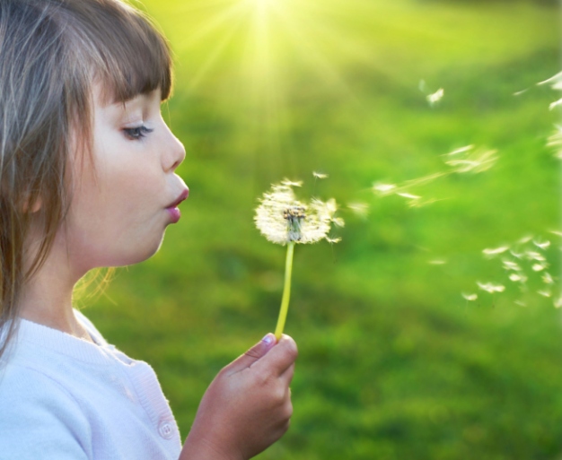 the-dandelion-blown-by-a-young-child